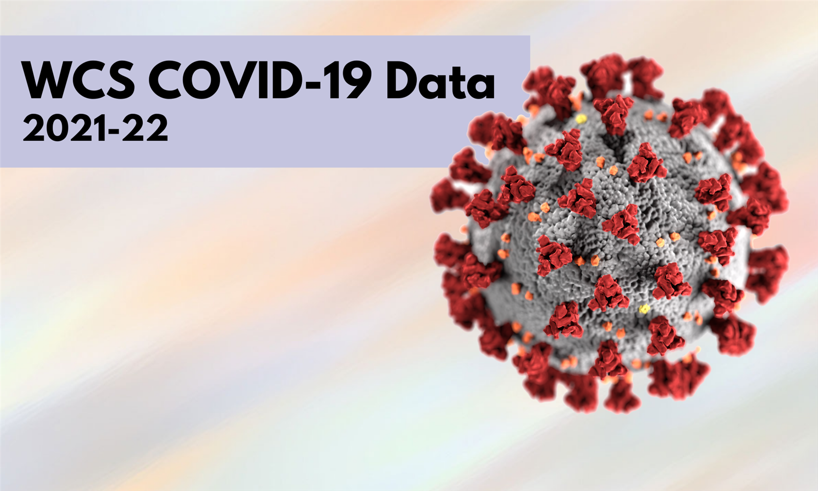 WCS COVID-19 Data